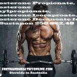 Sustanon 250 Maha Pharma