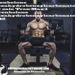 Tren-Max-1 (Trenbolone Hexahydrobenzylcarbonate) Maxtreme Pharma